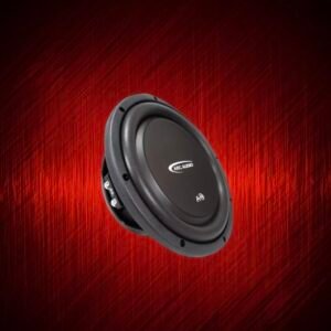 A Series 10 Inch Subwoofer